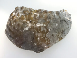 Traubenbecher-Fragment im Wikingermuseum Haithabu. Foto: Perlenschmiede